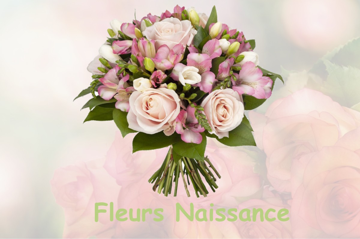 fleurs naissance SAINT-NAZAIRE-DE-PEZAN